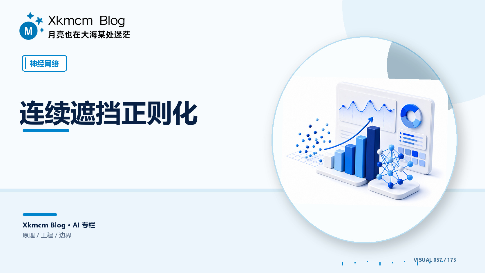连续遮挡正则化 - 缩略图