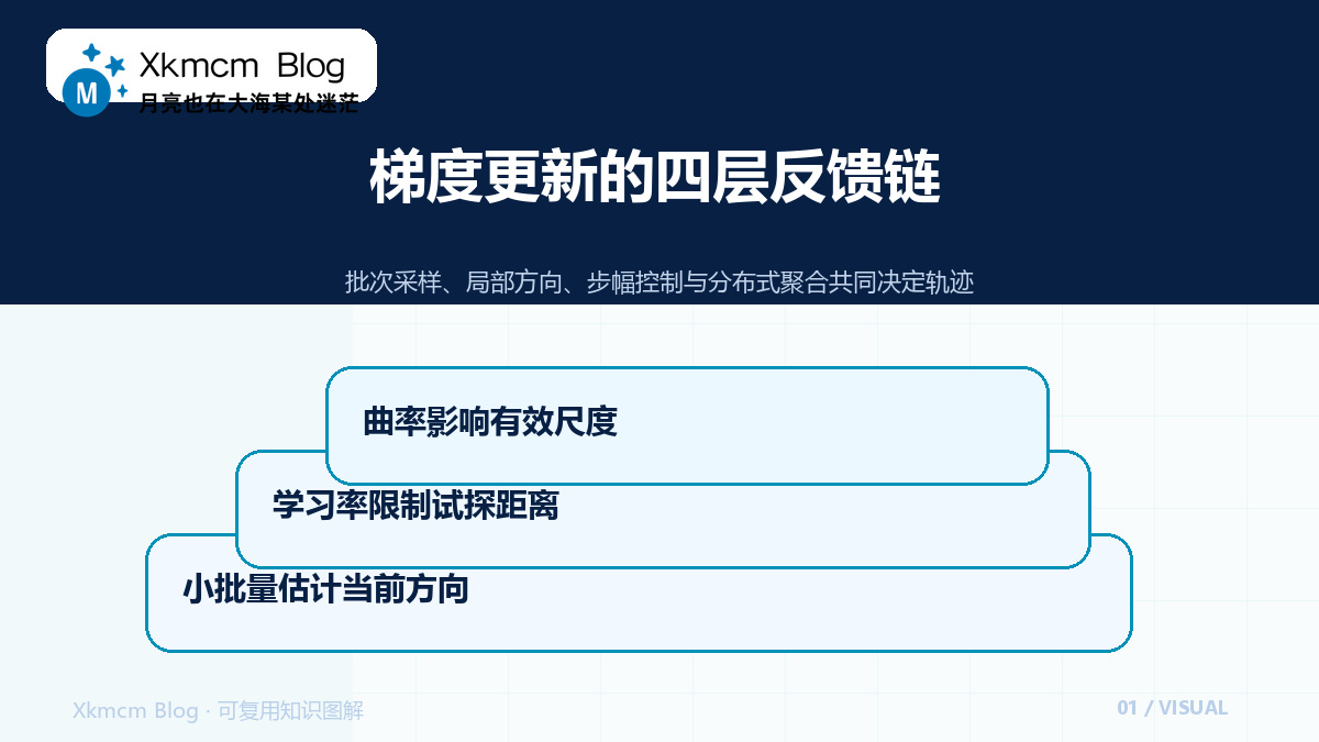 梯度只是方向提示:从单机小批量到分布式更新的完整推理 - 梯度更新的四层反馈链